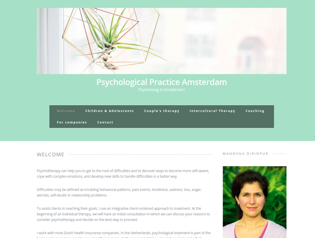 portfolio -psychology practice amsterdam